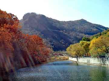 大三巴一肖二码最准，河北省图书馆首页